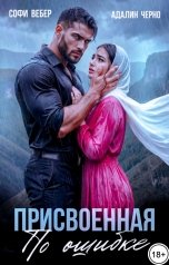 обложка книги Софи Вебер, Адалин Черно "Присвоенная по ошибке"