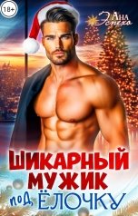 обложка книги Ана Эспехо "Шикарный мужик под ёлочку"
