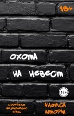 обложка книги Анфиса Шторм "Охота на невест"