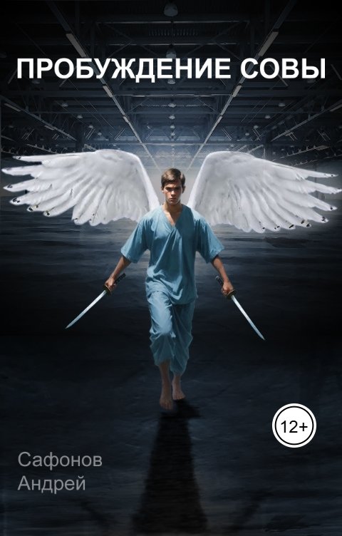 Обложка книги owlman75 Пробуждение совы