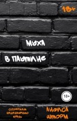 обложка книги Анфиса Шторм "Муха в паутине"