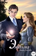 обложка книги Анюта Соколова "Эмкаэлка"