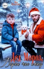 обложка книги Яна Юматова "Дед Мороз, верни мне папу!"