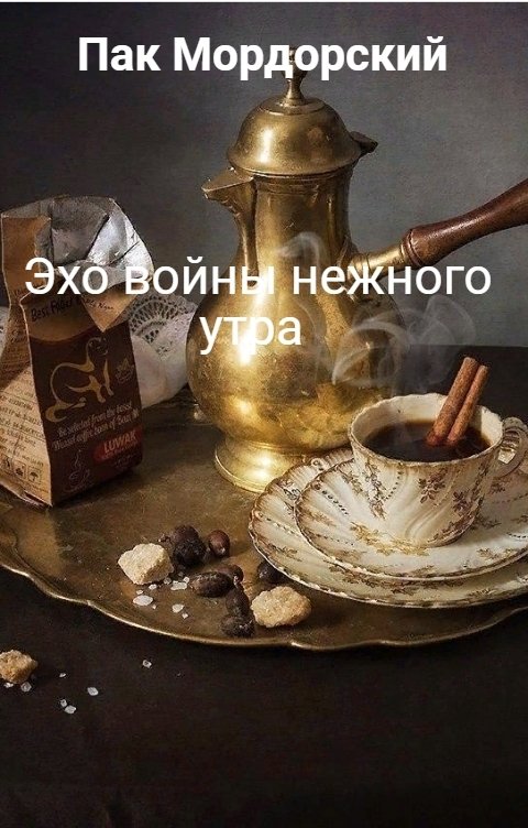 Обложка книги Пак Мордорский Эхо войны нежного утра