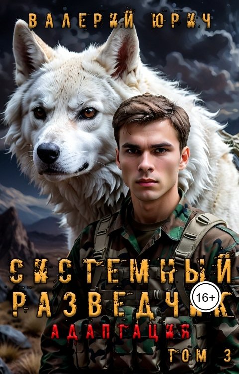Обложка книги Валерий Юрич Системный разведчик. Адаптация. Том 3