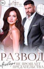 обложка книги Лика Янтарная "Развод. Январь не прощает Предательства!"