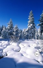 обложка книги Ольга Макс "Черная кошка не дремлет"