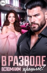 обложка книги Карина Винтер "В разводе. Вспомним прошлое?"