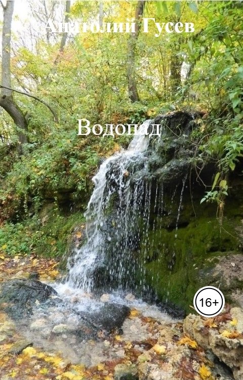 Обложка книги Анатолий Гусев Водопад