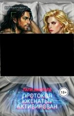 обложка книги Лали Аморале "Протокол "Женаты" активирован"