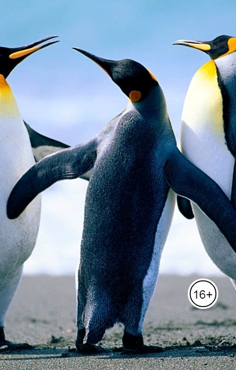 Обложка книги Ольга Макс И такое может быть!