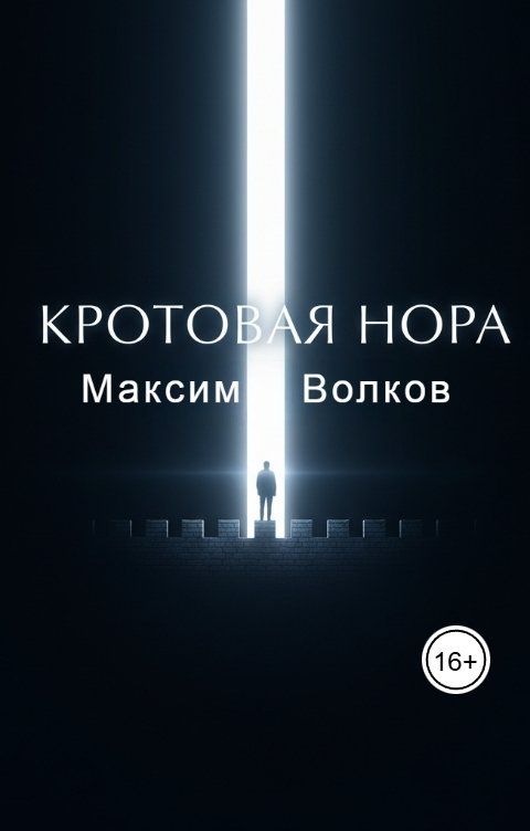 Обложка книги Максим Волков Кротовая нора