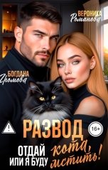обложка книги Богдана Громова, Вероника Романова "Развод. Отдай кота, или Я буду мстить!"