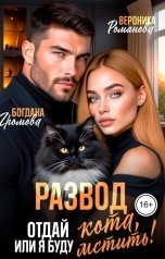 обложка книги Богдана Громова, Вероника Романова "Развод. Отдай кота, или Я буду мстить!"