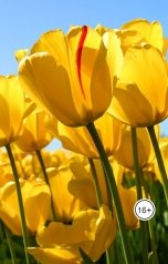 обложка книги Ольга Макс "Белый,белый..."