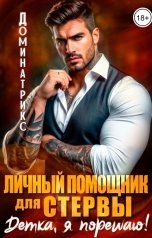 обложка книги ДОМИНАТРИКС "Личный помощник для стервы. Детка, я порешаю"