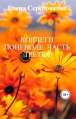 обложка книги Елена Серебрякова "КОЛЛЕГИ ПОНЕВОЛЕ  ЧАСТЬ ТРЕТЬЯ"
