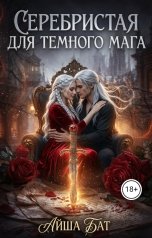 обложка книги Айша Бат "Серебристая для темного мага"