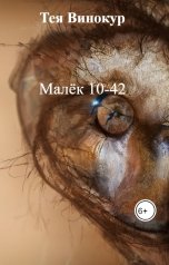 обложка книги Тея Винокур "Малёк 10-42"