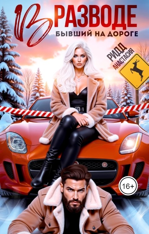 Обложка книги Анастасия Ридд В разводе. Бывший на дороге