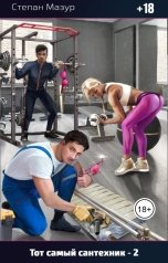 обложка книги Степан Мазур "Тот самый сантехник 2"