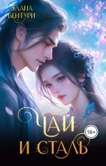 обложка книги Эдана Вентури "Чай и сталь"