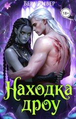 обложка книги Вера Ривер "Находка Дроу"