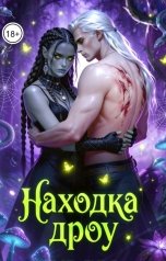 обложка книги Вера Ривер "Находка Дроу"