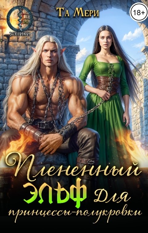 Обложка книги Та Мери Плененный эльф для принцессы-полукровки