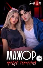 обложка книги Вийя Шефф "Мажор. Предел терпения"