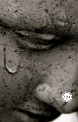 обложка книги Denis Vasilyev "Притчи"