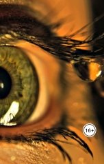 обложка книги Denis Vasilyev "Глаза Эпохи"