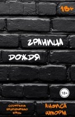 обложка книги Анфиса Шторм "Граница дождя"
