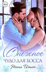 обложка книги Настя Ильина "(С)нежное чудо для босса"