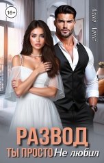 обложка книги Лана Ланс "Развод. Ты просто не любил"