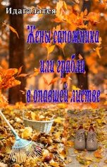 обложка книги Идагалатея "Жены сапожника или грабли в опавшей листве"