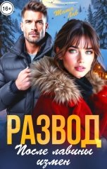 обложка книги Тата Лав "Развод. После лавины измен"