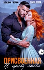 обложка книги Софи Вебер, Адалин Черно "Присвоенная по праву любви"
