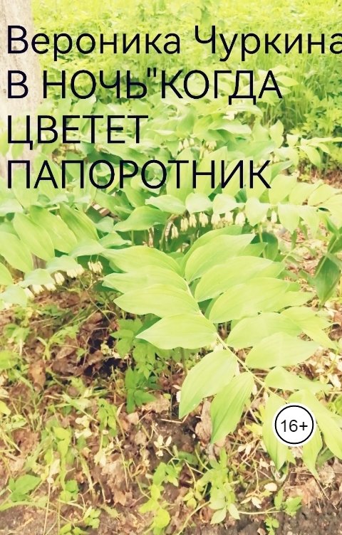 Обложка книги Вероника Чуркина В ночь, когда цветёт папоротник.