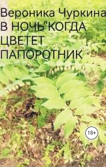 обложка книги Вероника Чуркина "В ночь, когда цветёт папоротник."