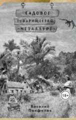 обложка книги Василий Панфилов "Садовое товарищество "Металлург""