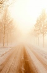 обложка книги Шадрин Данил "Возвращение в Атлантику"