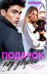 обложка книги Avrora "Подарок под дверью"