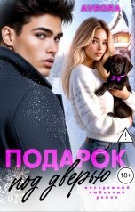 обложка книги Avrora "Подарок под дверью"