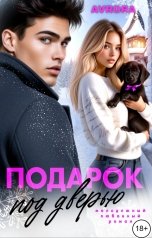 обложка книги Avrora "Подарок под дверью"