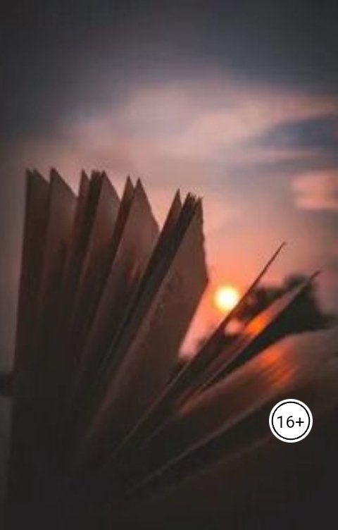 Обложка книги oksana.dolgova.2000 Перевороты жизни