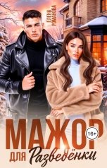 обложка книги Елена Романова "Мажор для разведёнки"