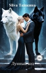 обложка книги Sliva Ташкина "Лунный код"
