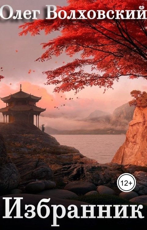 Обложка книги Олег Волховский Избранник