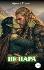 обложка книги Арина Сокол "Не пара"